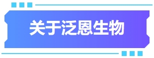 泛1.png